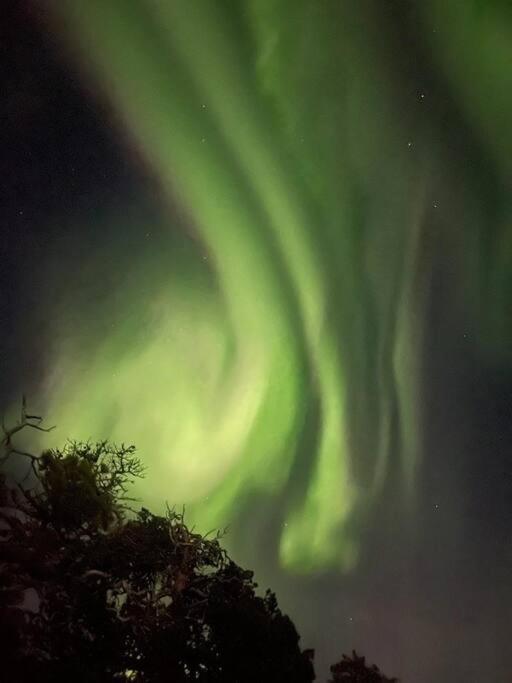 Leilighet I Rolig Gate Med Utsikt Og Gratis Parkering Tromso Exterior photo